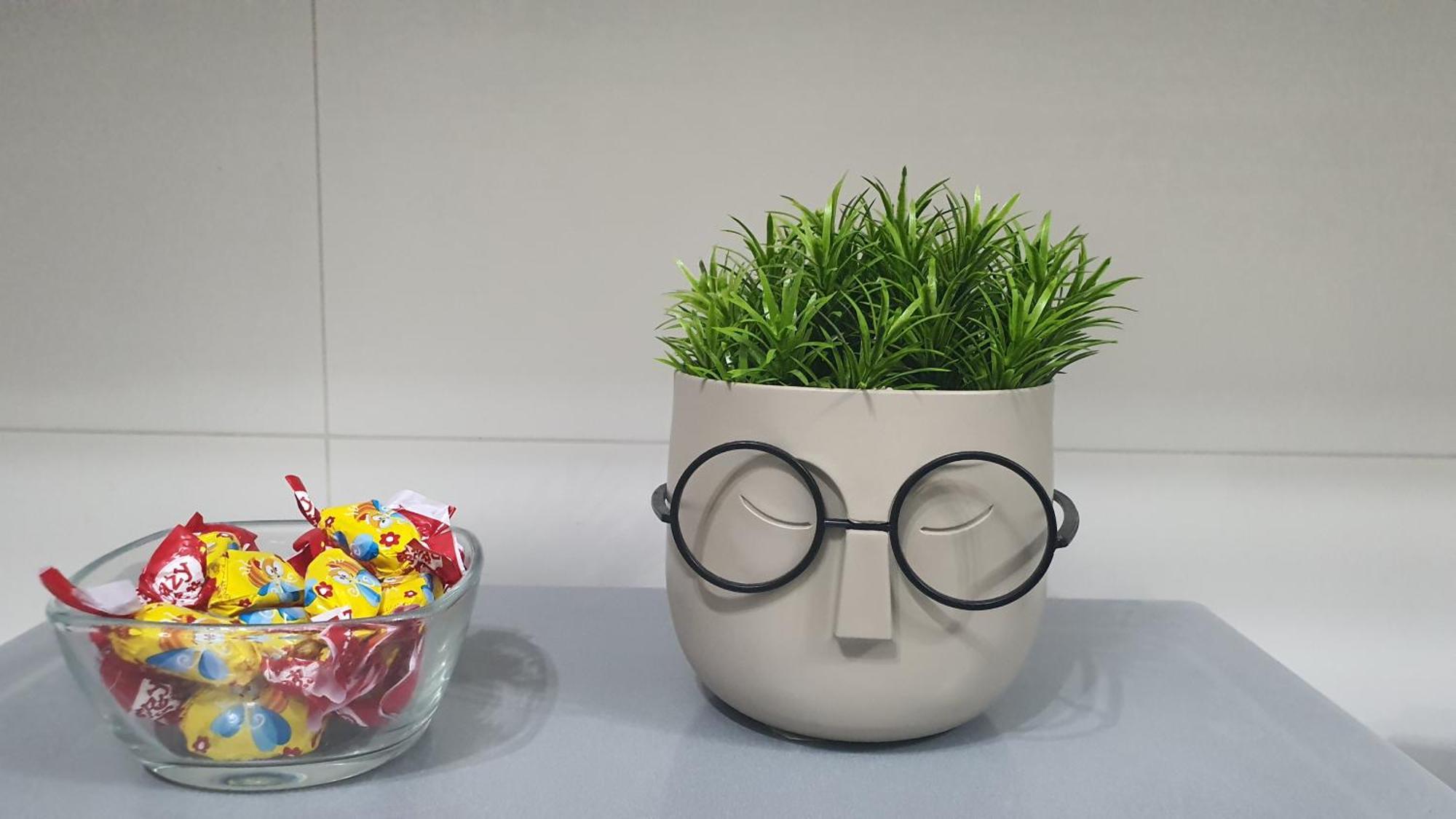 Green Apartment Coresi 브라쇼브 외부 사진