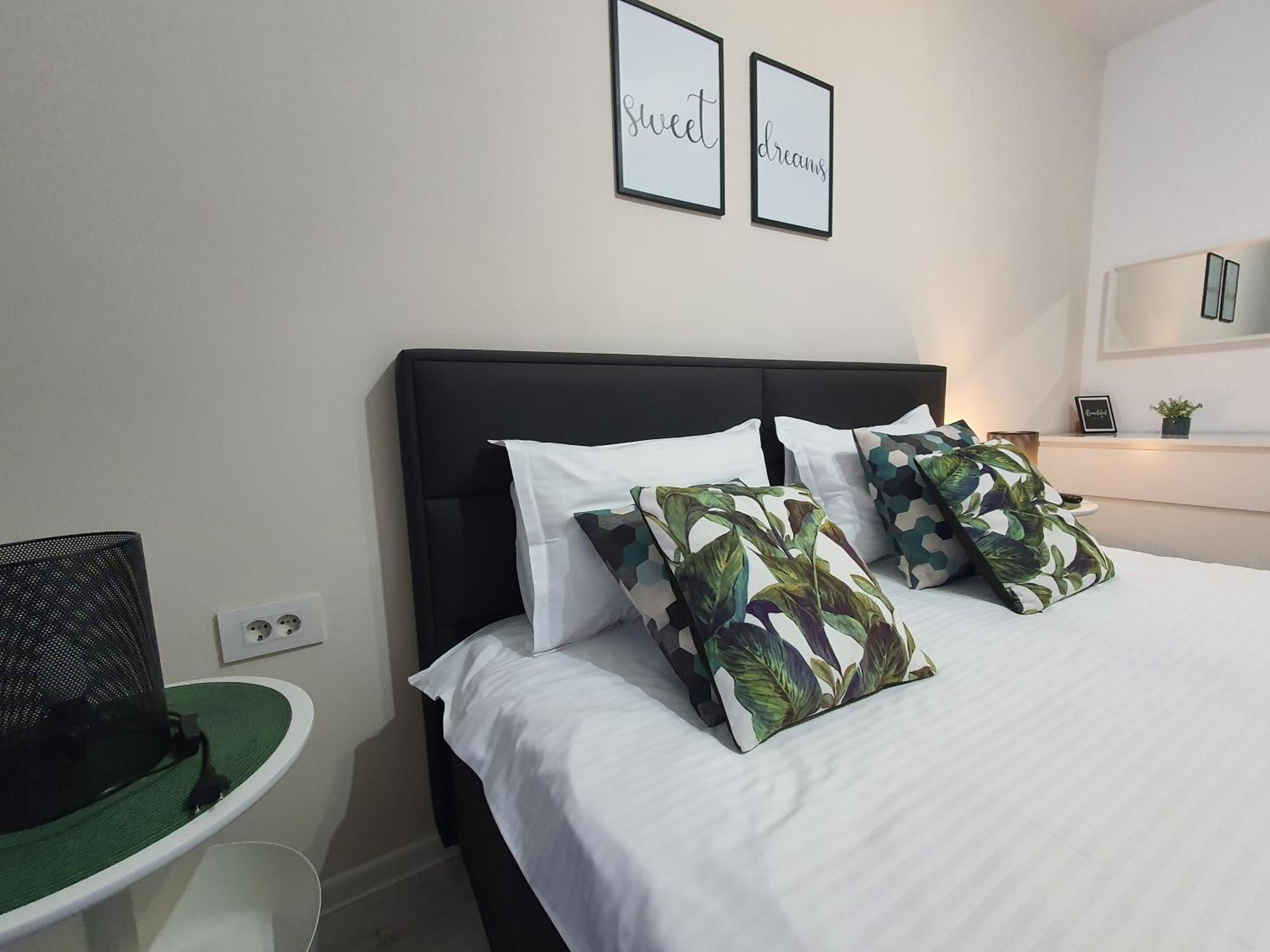 Green Apartment Coresi 브라쇼브 외부 사진